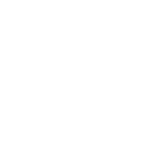 mobile access icon